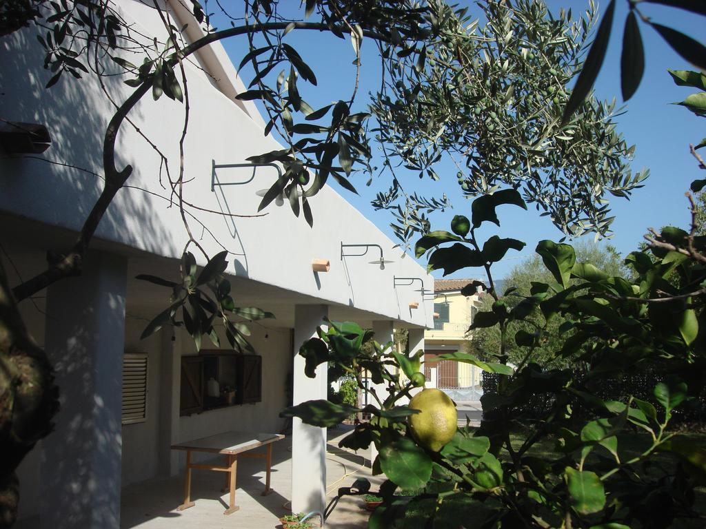 Grazia Deledda Bed & Breakfast Galtelli Exterior photo